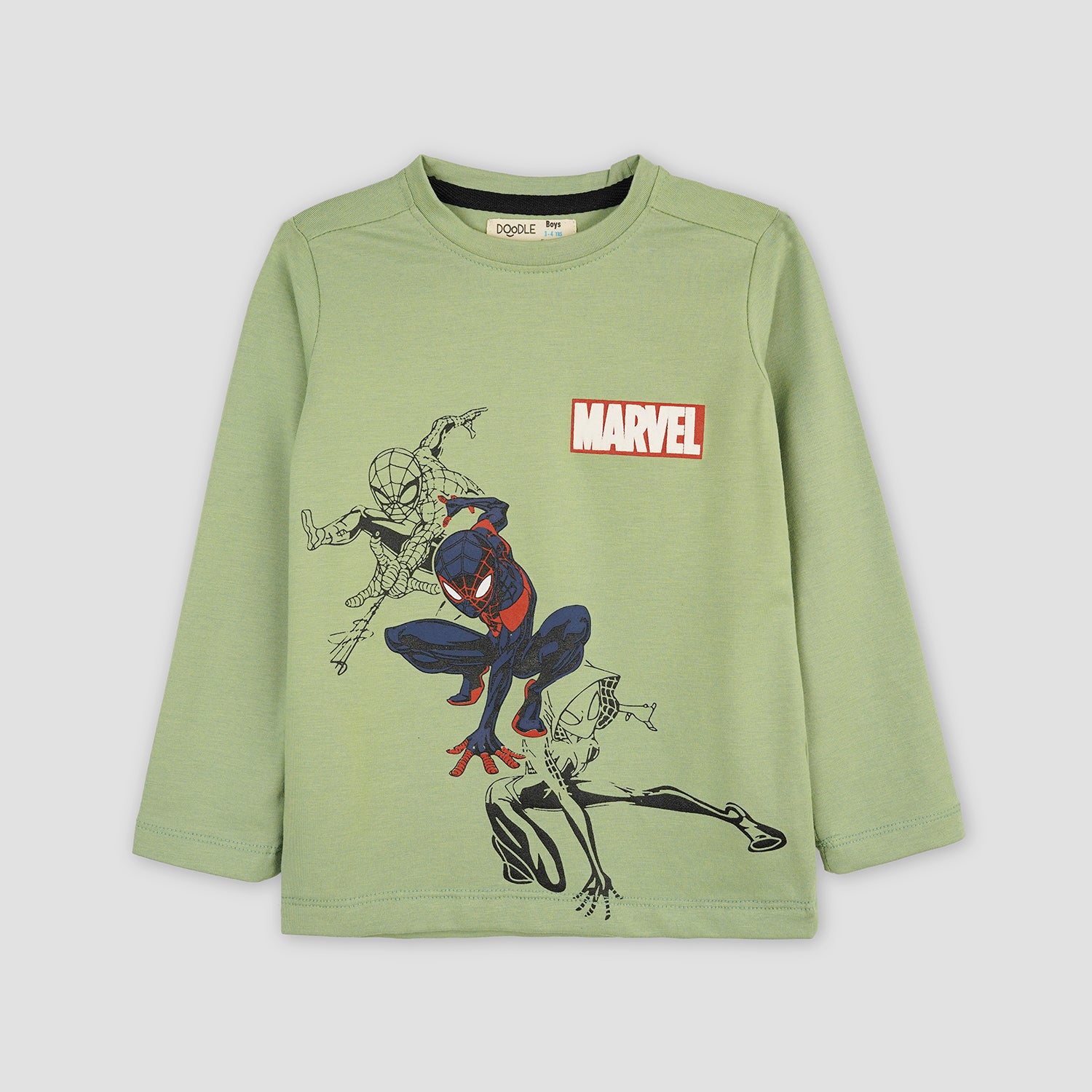 BOYS SPIDERMAN MARVEL GRAPHIC TEE-005222-LGG