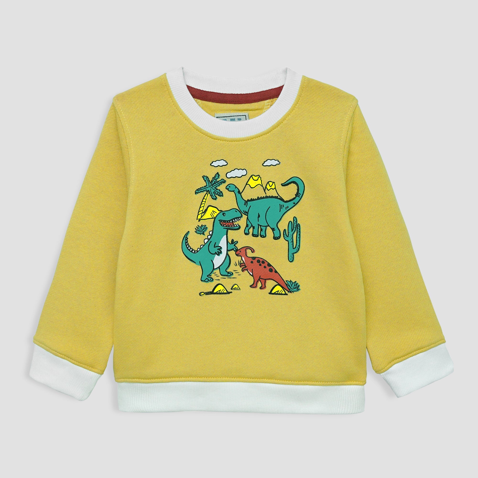 IBSS-25-DINOSUAR GRAPHIC SWEAT SHIRT